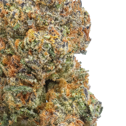 Black Widow 1/2 LB (8 oz)