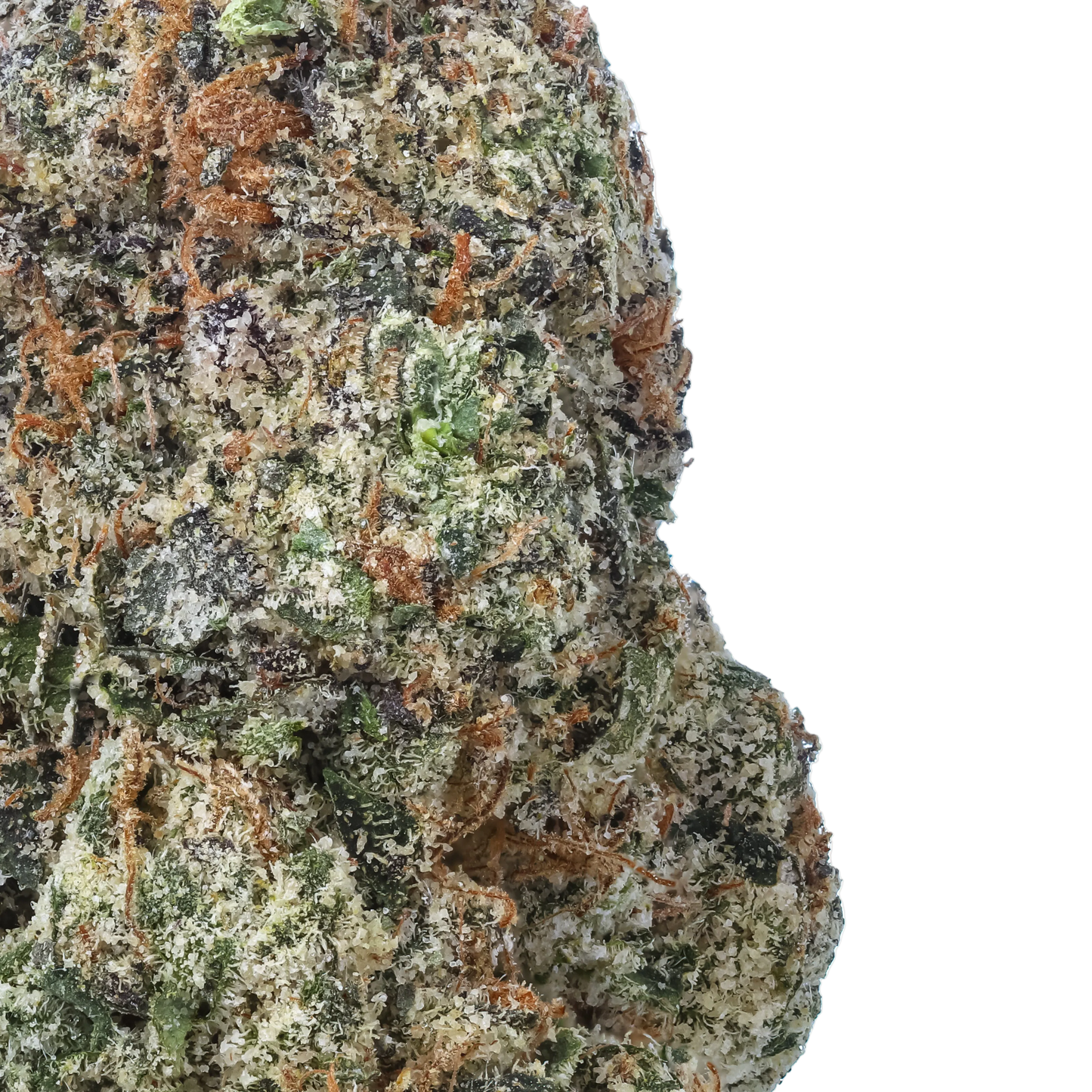 Candy Jack 1 LB (16 oz)