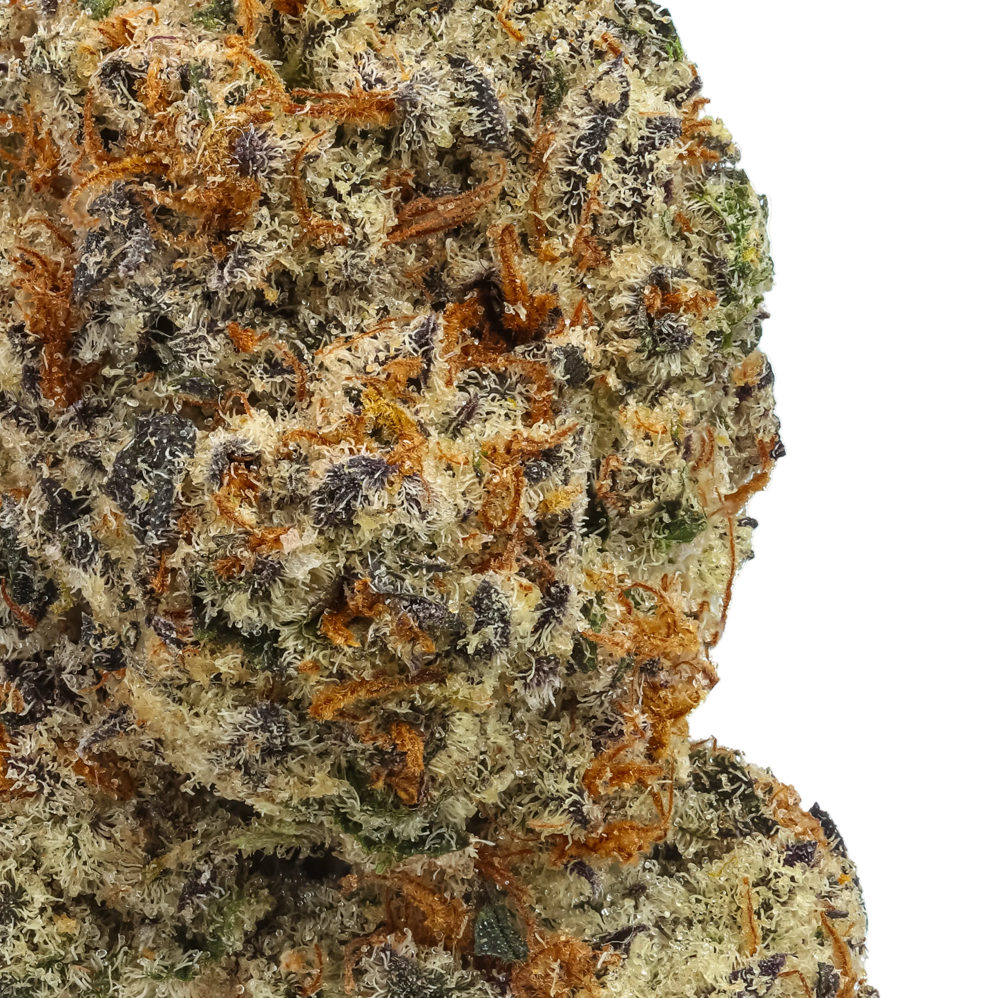 Cherry Apple 1 LB (16oz)