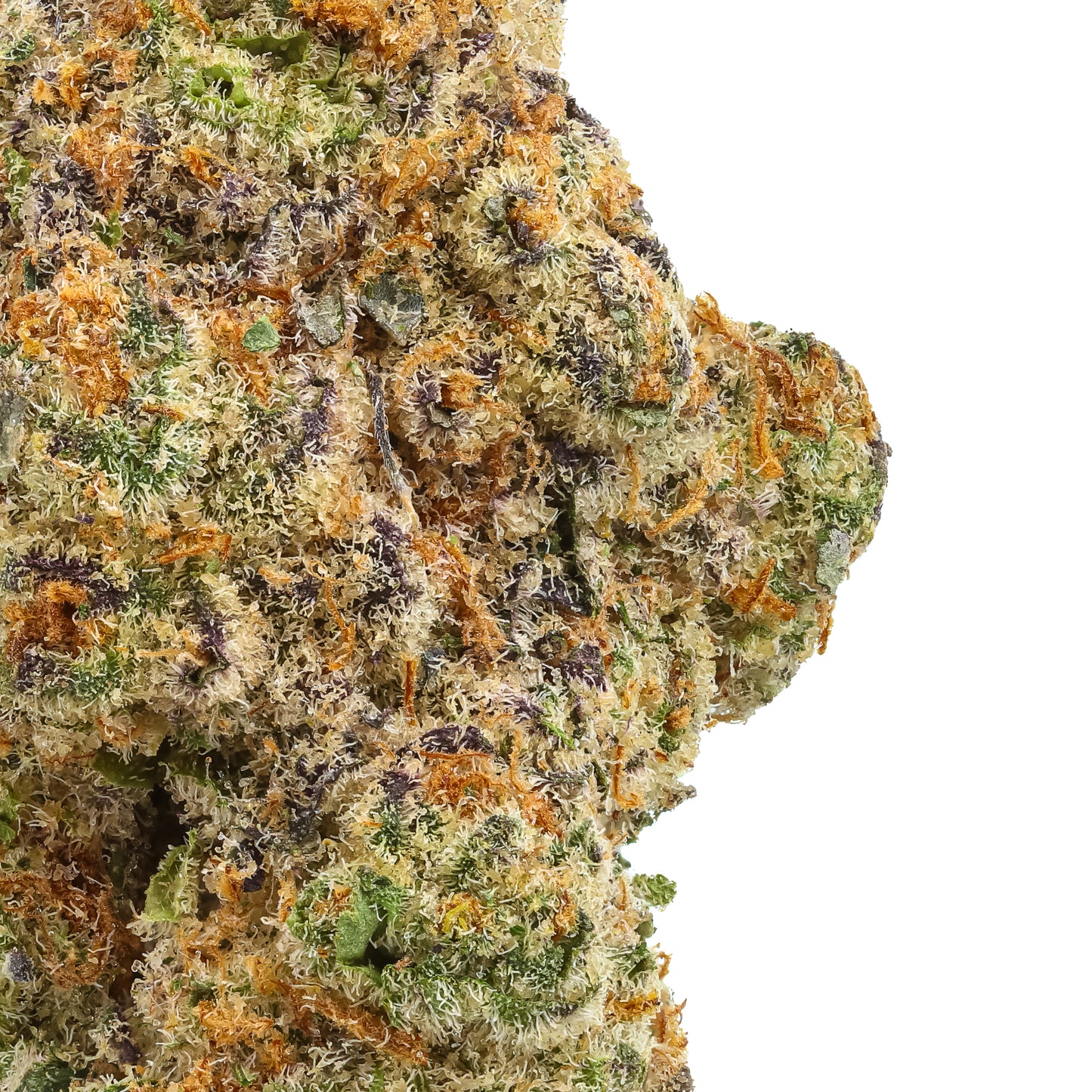 Glitter Bomb 1/4 LB (4oz)