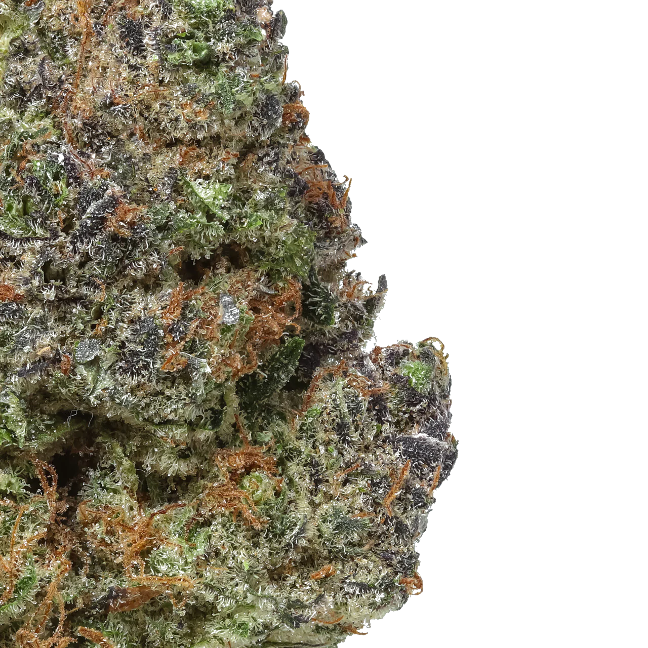 Gruntz 1/2 LB (8OZ)
