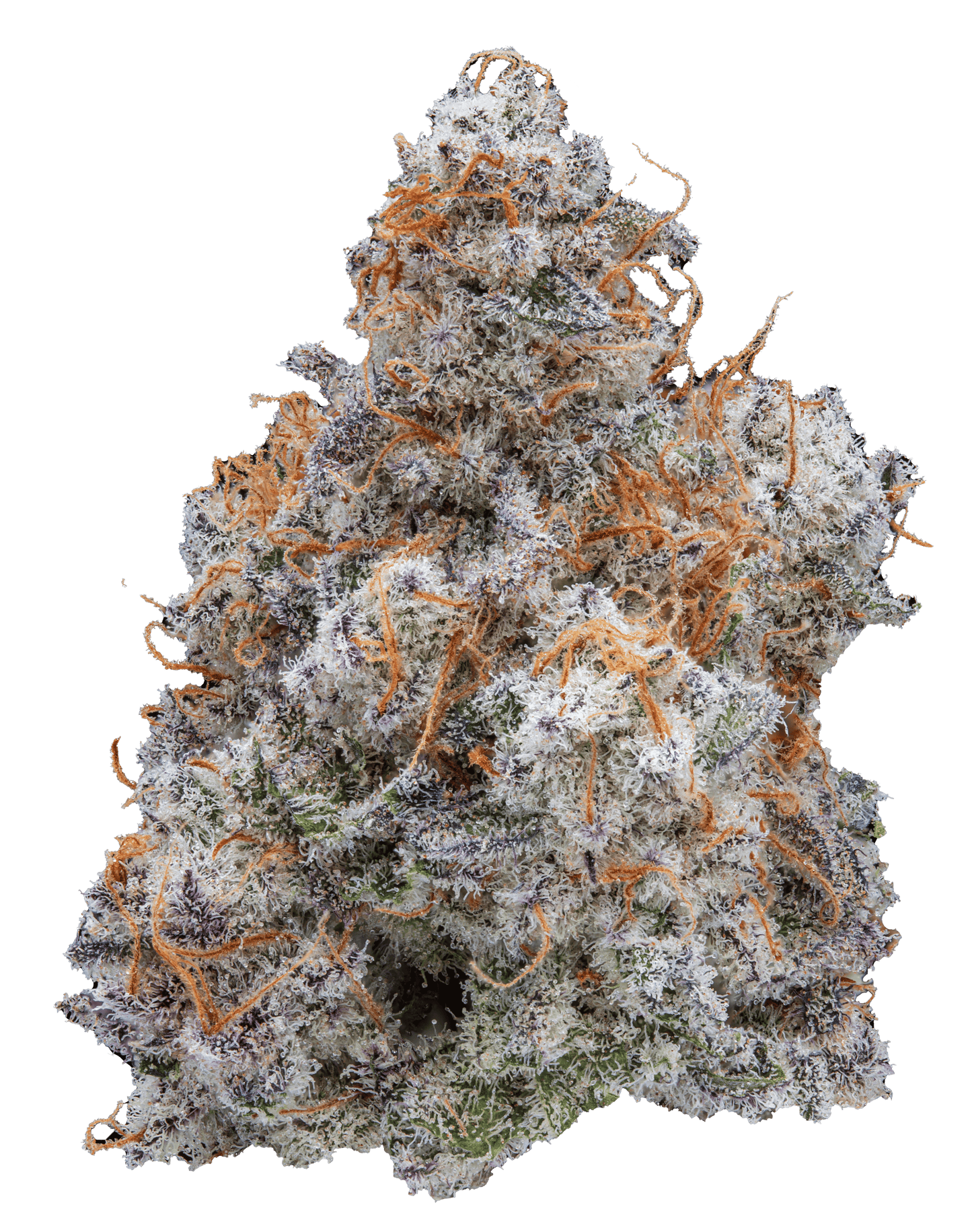 MAC 1 1 LB (16 oz)