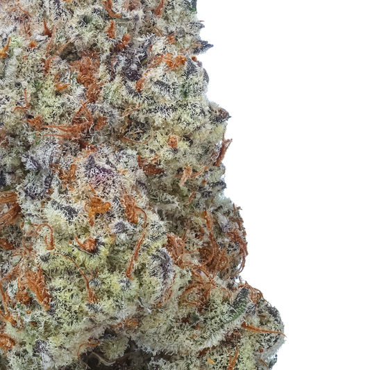 Plasma Fruit 1/2 LB (8 oz)