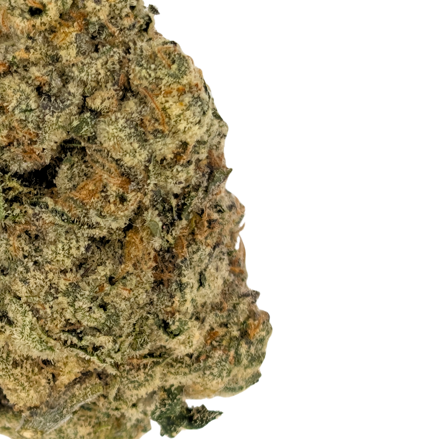 Runtz 1/2 LB (8 oz)