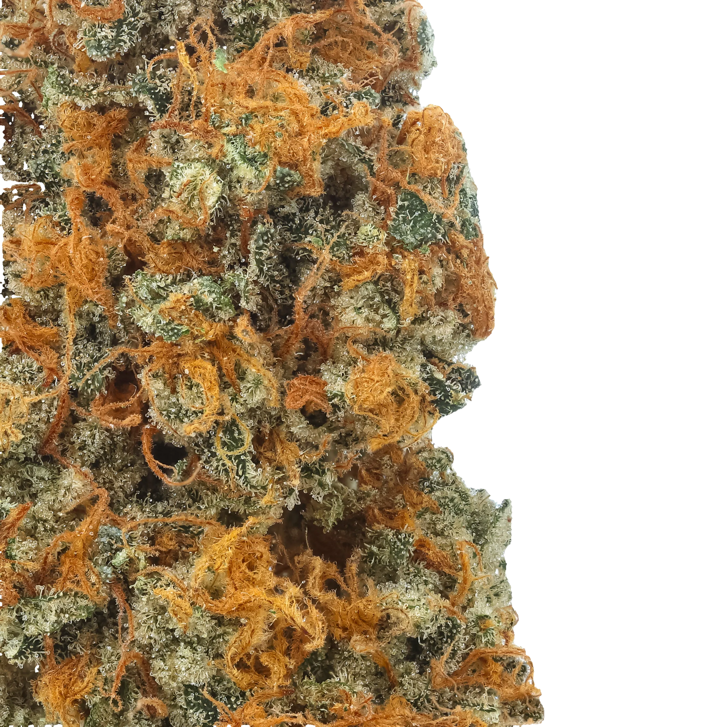 Strawberry Lemon Kush 1 LB (16 oz)