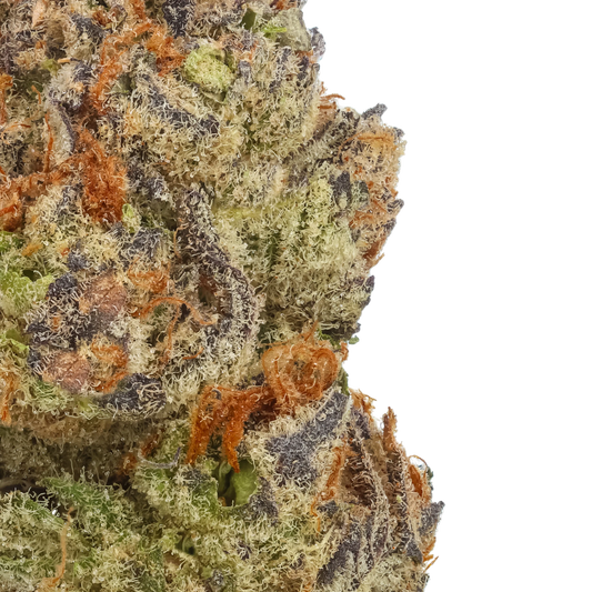 Tropic Thunder Funk 1/4 LB (4 oz)