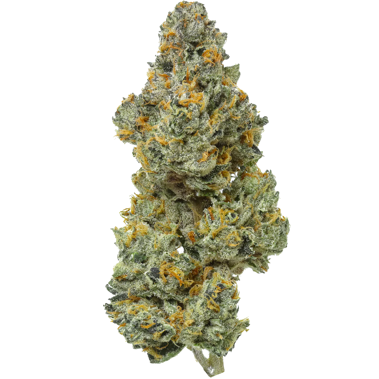 Bleu Runtz 1/2 LB (8 oz)
