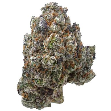 Ice Cream Breath x Shoreline 1/4 LB (4 oz)