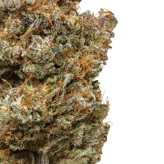 Purple Haze 1/2 LB (8 oz)