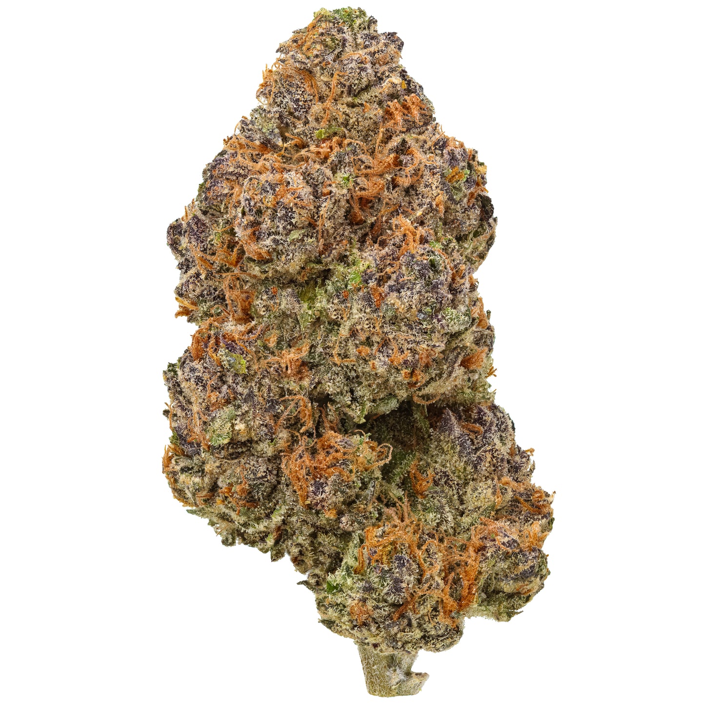 Bananaconda 1 LB (16 oz)