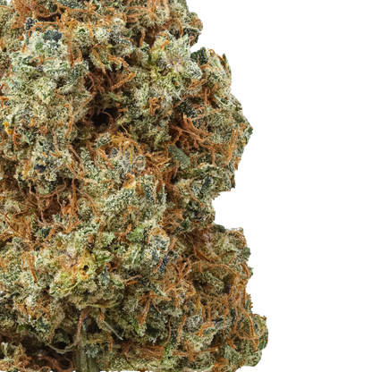 Close-up of Banana Yak cannabis bud with frosty trichomes and orange hairs