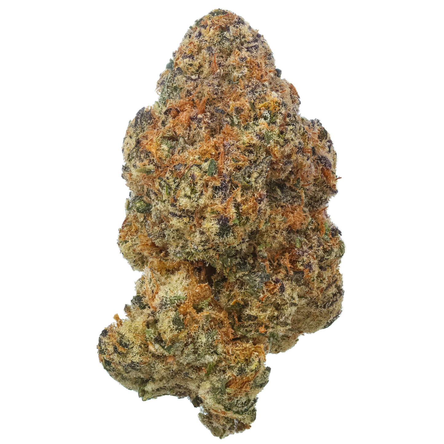 Black Baccara 1/4 LB (4 oz)