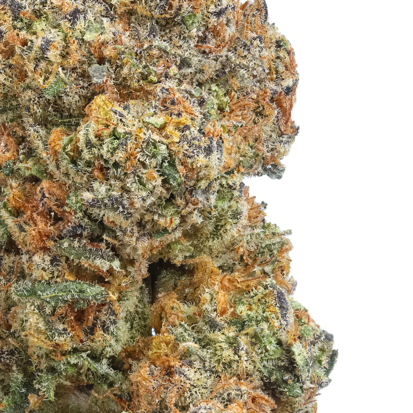 Black Widow 1/2 LB (8 oz)