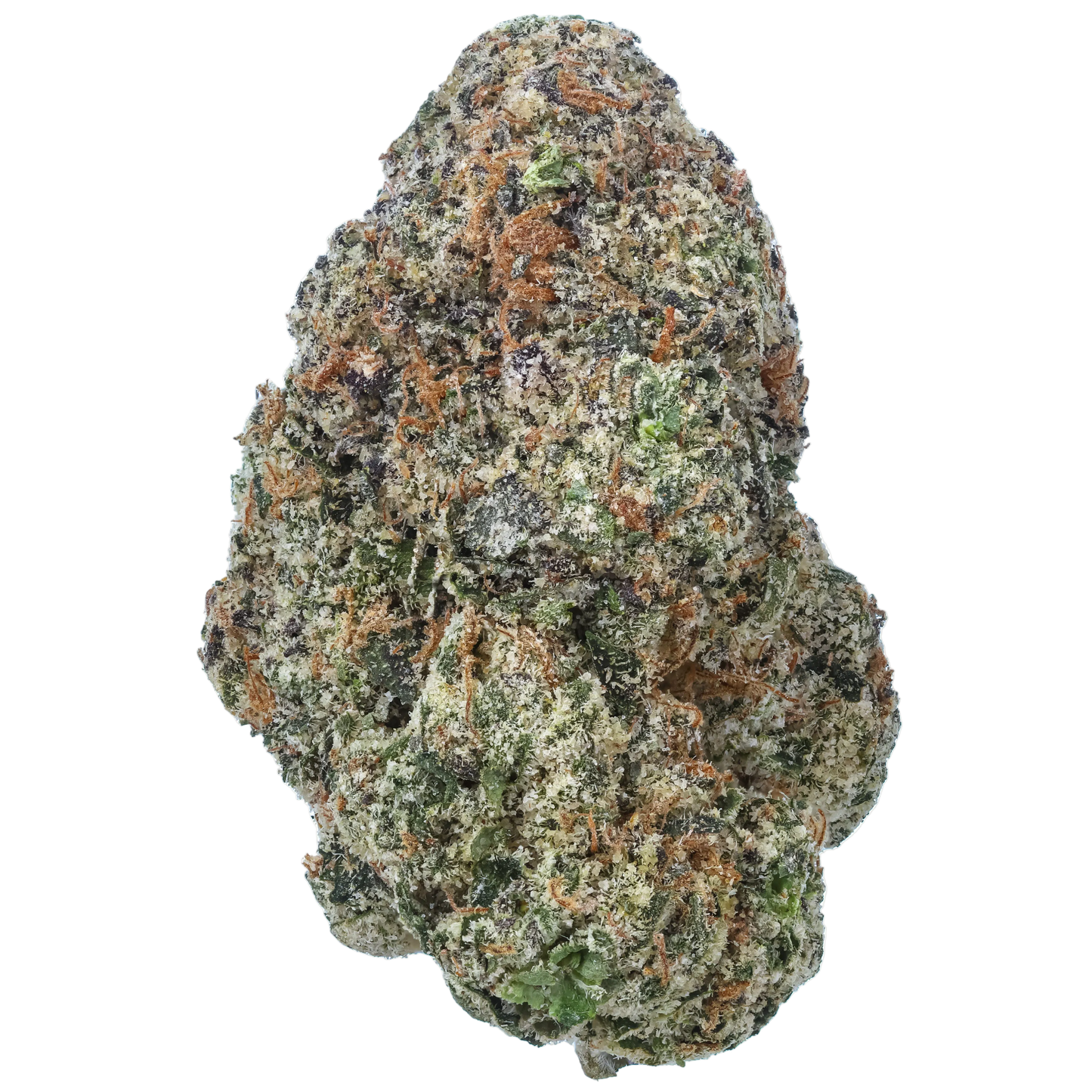 Candy Jack 1 LB (16 oz)