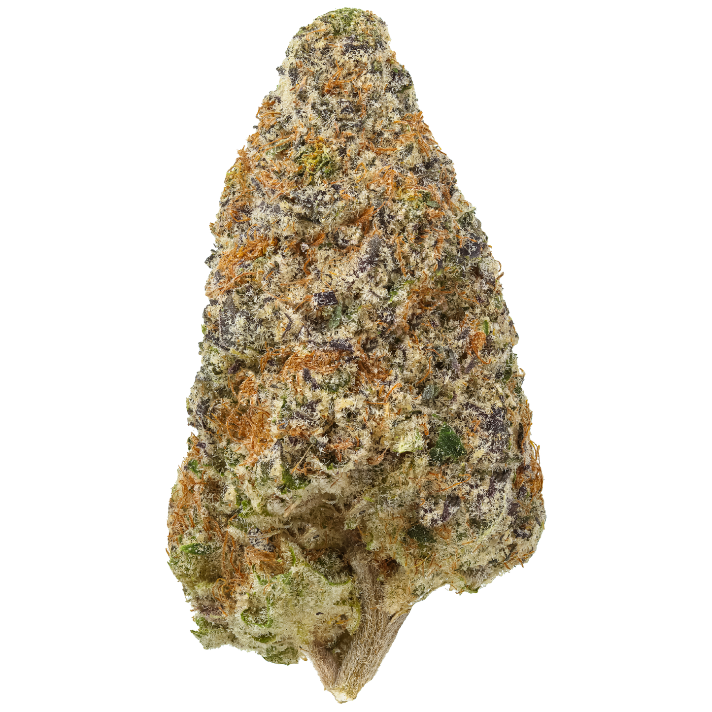 Cement Shoes 1 LB (16 oz)