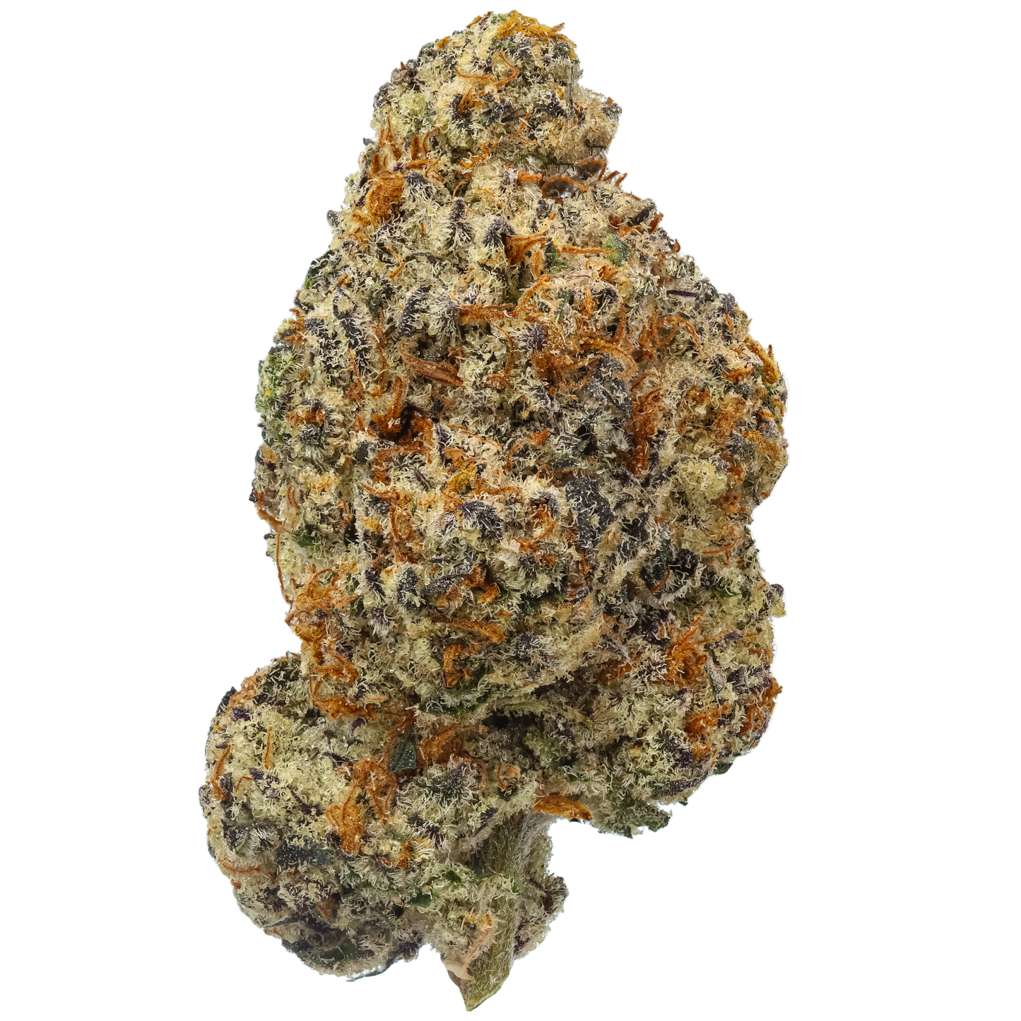 Cherry Apple 1 LB (16oz)