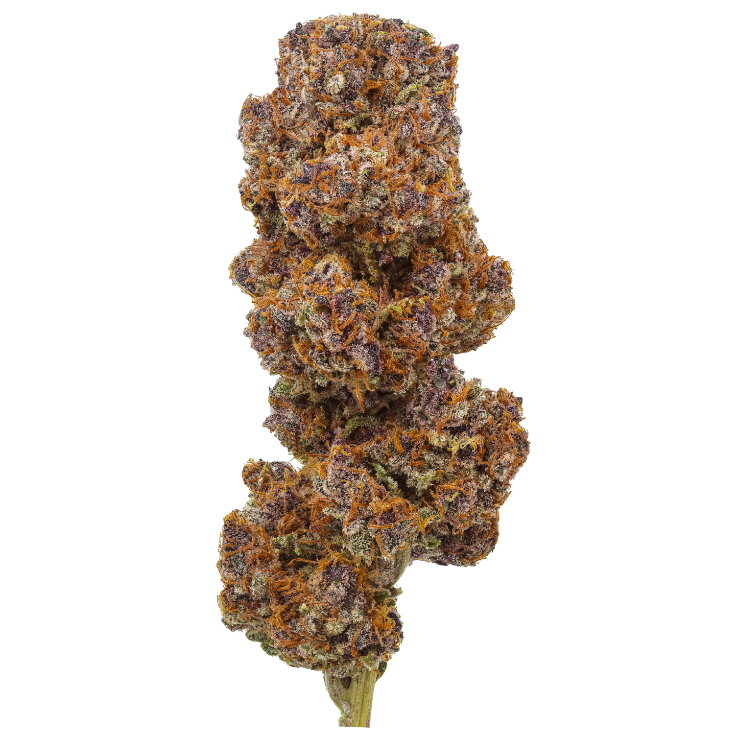 Daiquiri Factory 1 LB (16 oz)