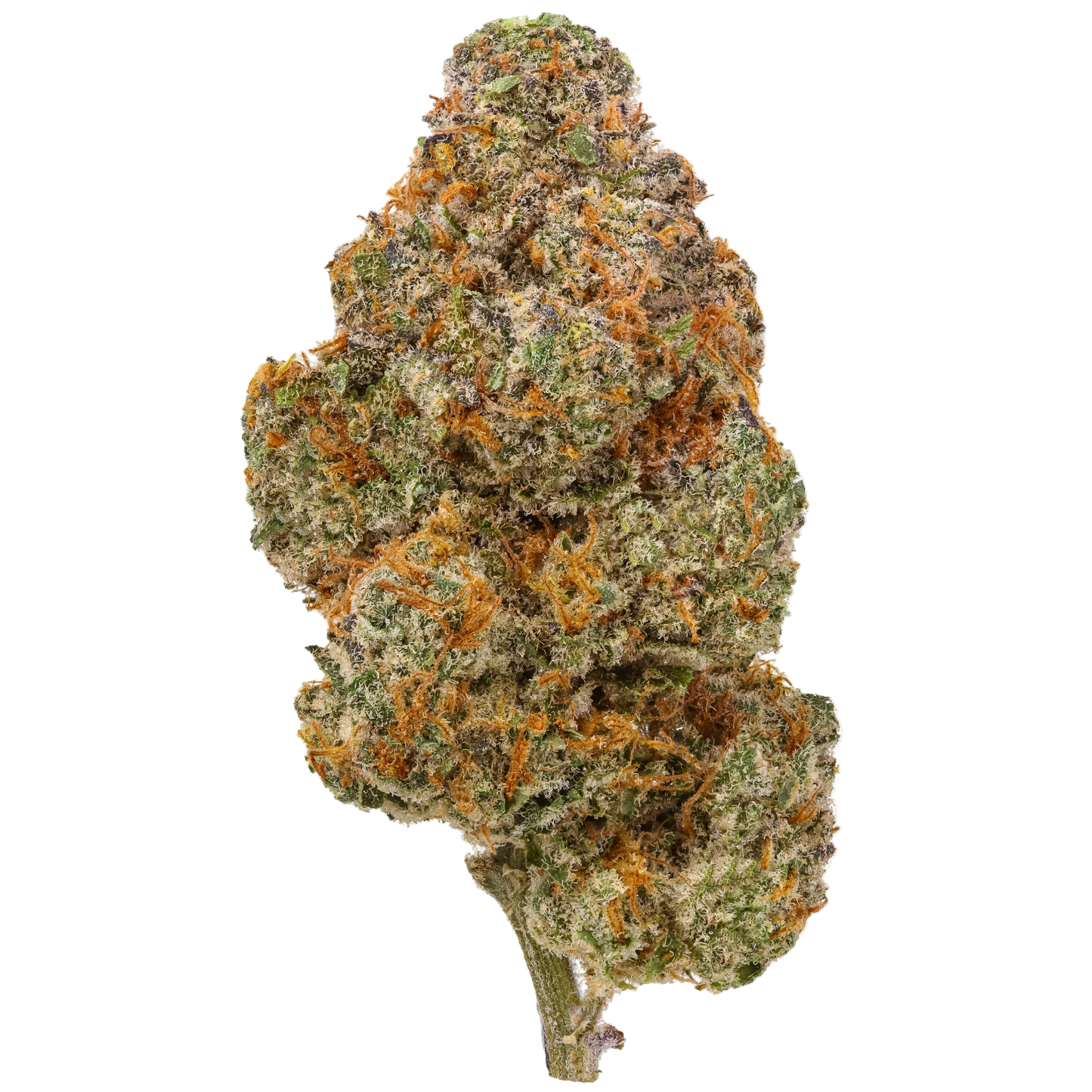 Dulce de Fresca 1 LB (16 oz)