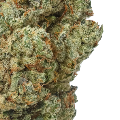 Endless Glue 1/4 LB (4 oz)