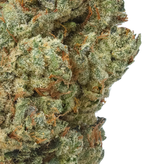 Endless Glue 1/4 LB (4 oz)