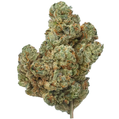 Endless Glue flower
