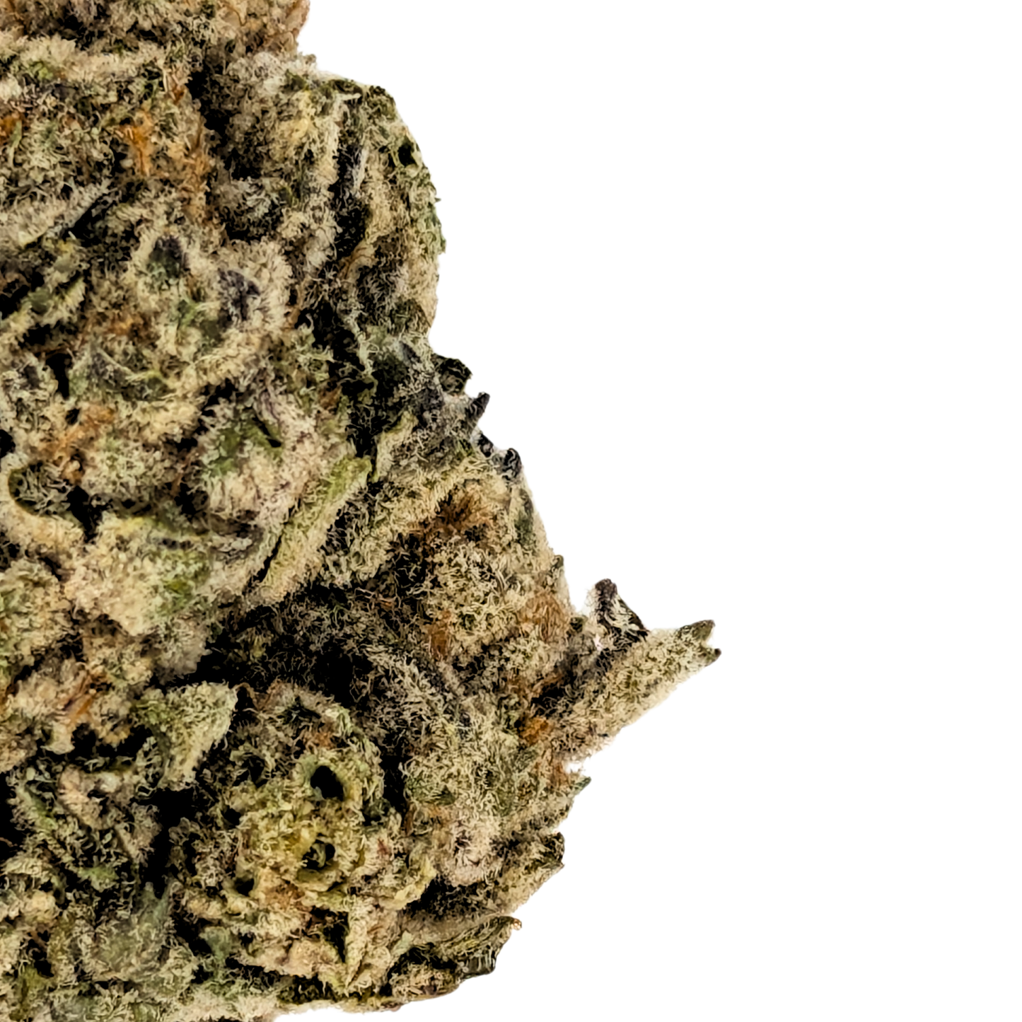 GG4 (Gorilla Glue #4) 1 LB (16 oz)