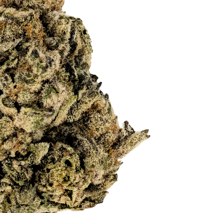 GG4 (Gorilla Glue #4) 1 LB (16 oz)