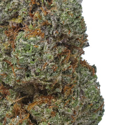 Grease Monkey 1 LB (16oz)