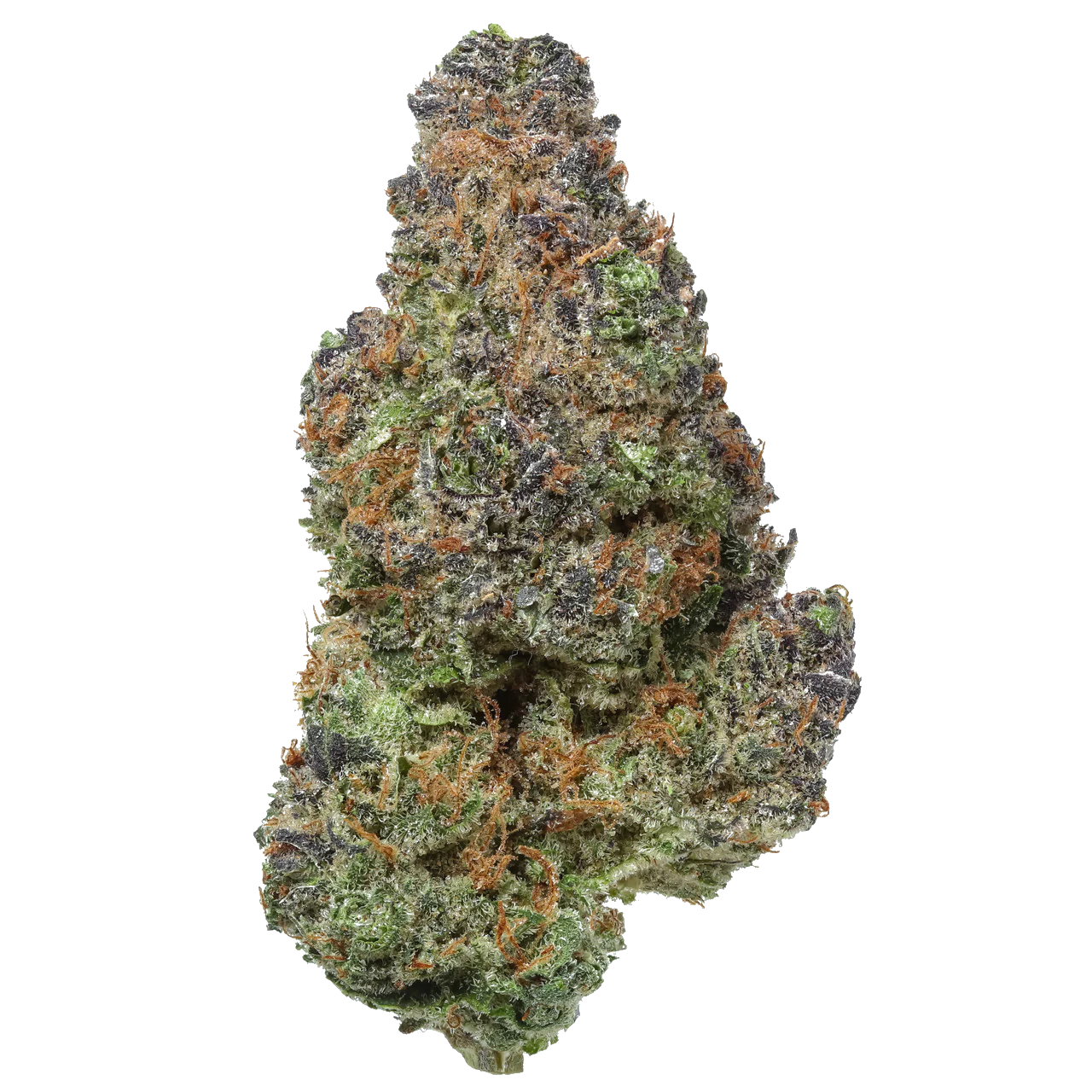 Gruntz 1 LB (16OZ)