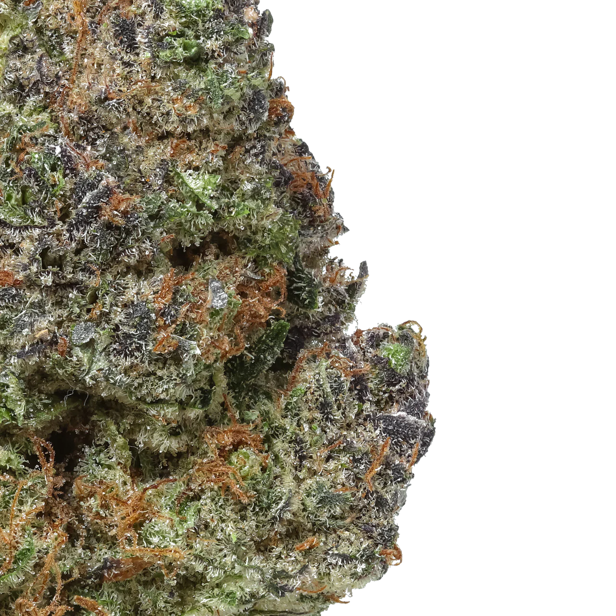 Gruntz 1/4 LB (4OZ)