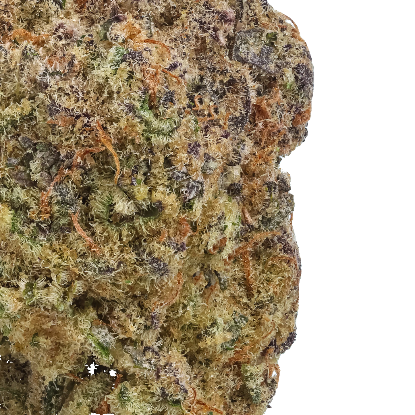 Hunters Moon 1 LB (16 oz)