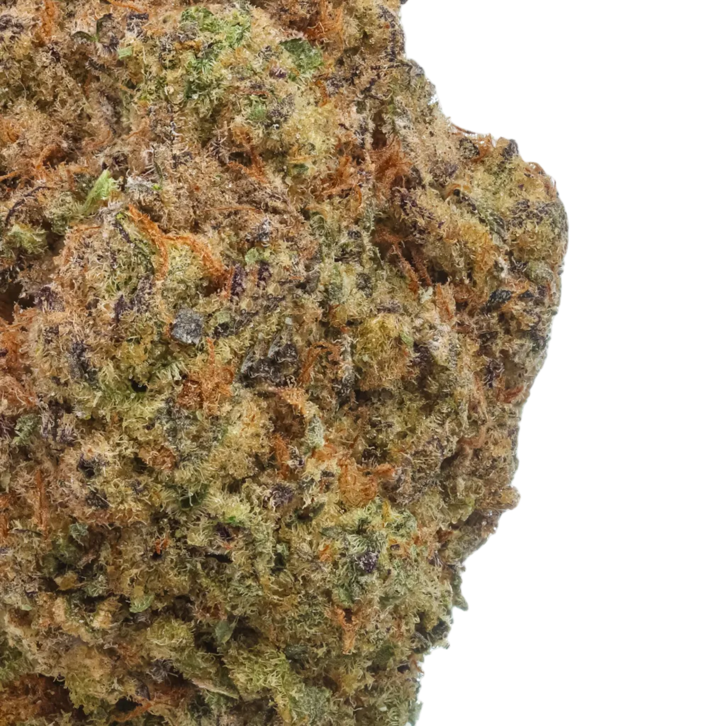 Maui Wowie 1/4 LB (4oz)