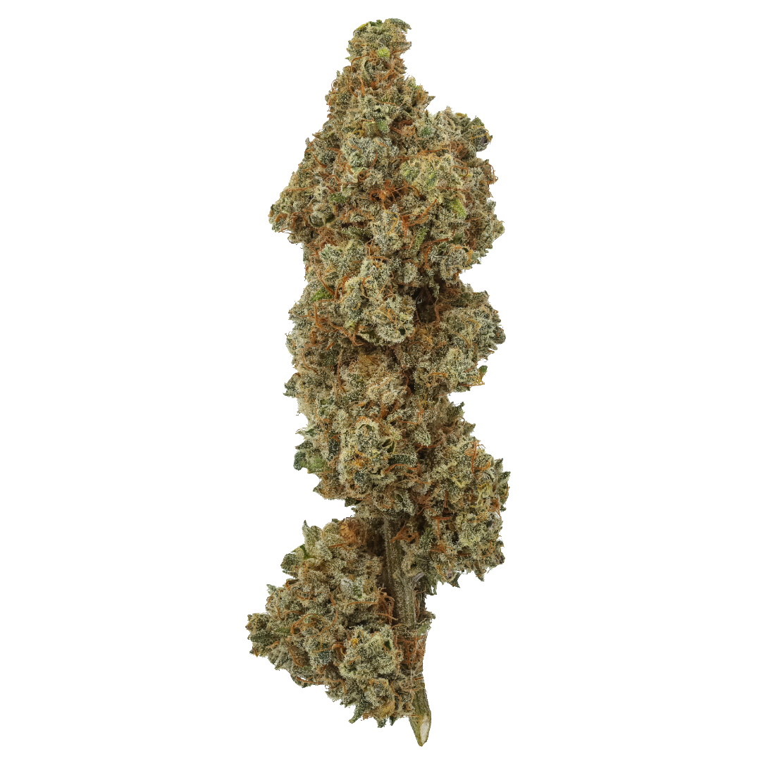 Miracle Lemon Cookies 1 LB (16 oz)