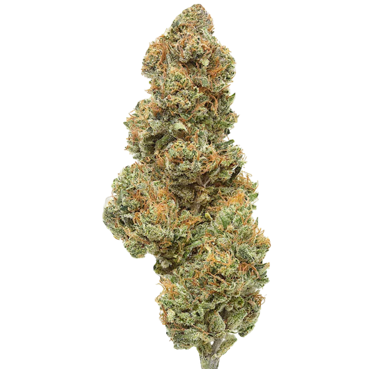 Close-up of dense cannabis bud with green and orange trichomes on black background