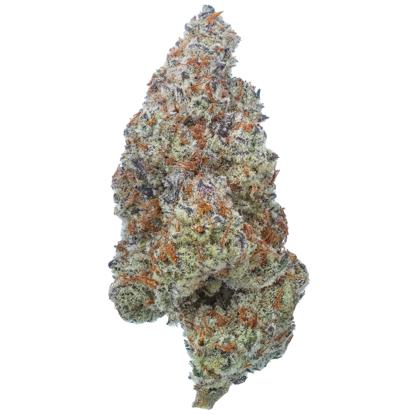 Plasma Fruit 1/2 LB (8 oz)