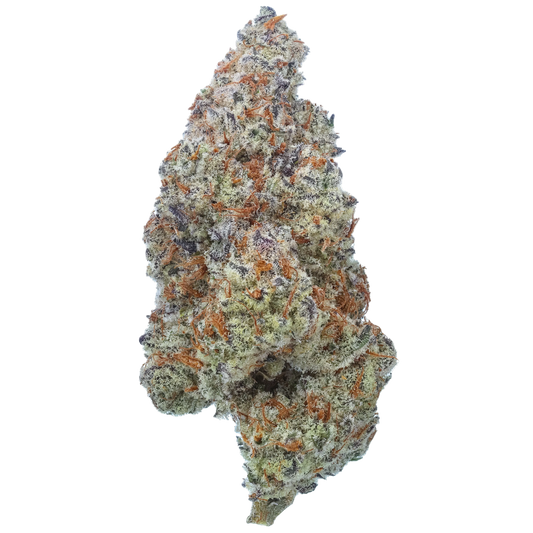 Plasma Fruit 1/2 LB (8 oz)