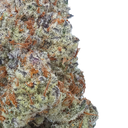 Plasma Fruit 1/2 LB (8 oz)