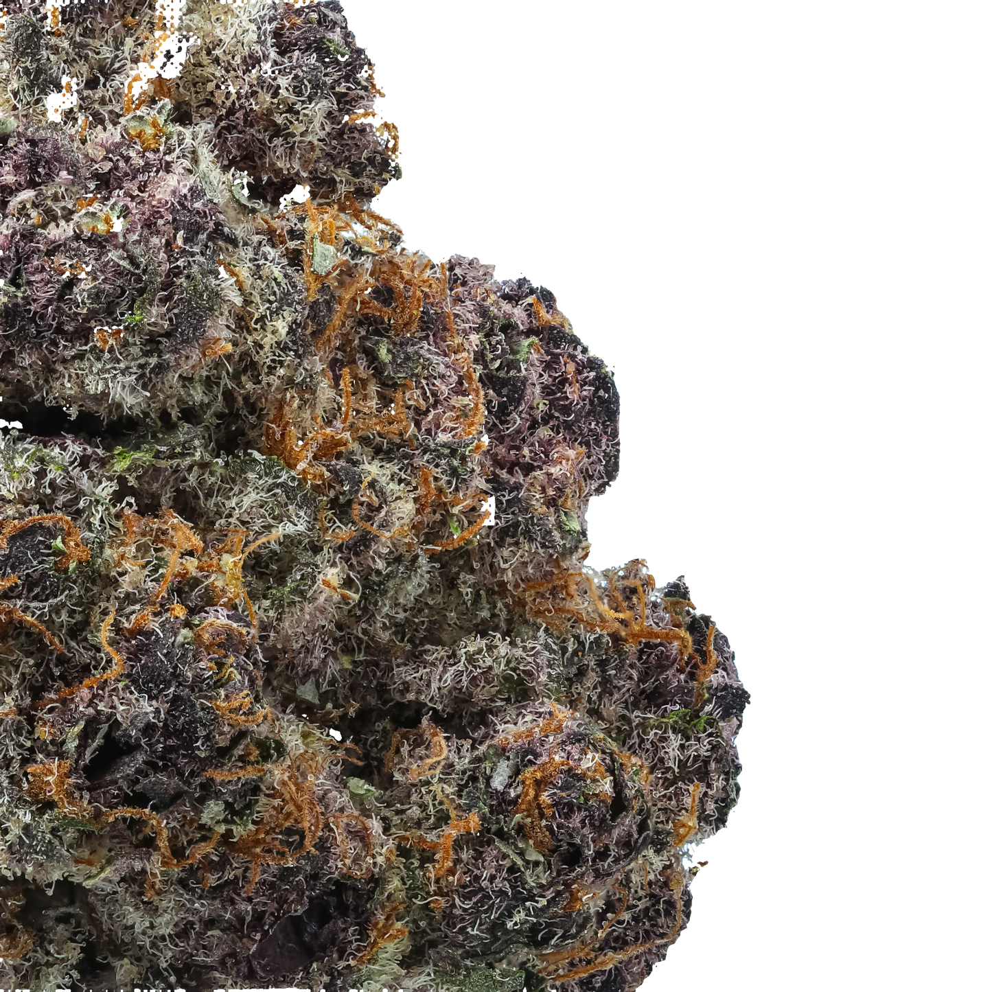 Purple Preserves 1/4 LB (4 oz)