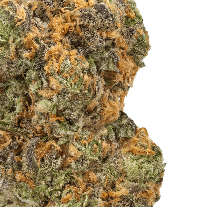 Close-up of Strawberry Gary cannabis bud with frosty trichomes and orange hairs