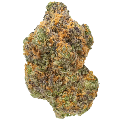 Close-up of Strawberry Gary cannabis bud with green, purple, and orange trichomes