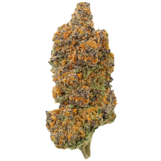 Sundae Driver cannabis bud with vibrant orange and purple trichomes on white background
