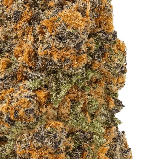 Close-up of Sundae Driver cannabis bud with orange hairs, green leaves, and purple hues