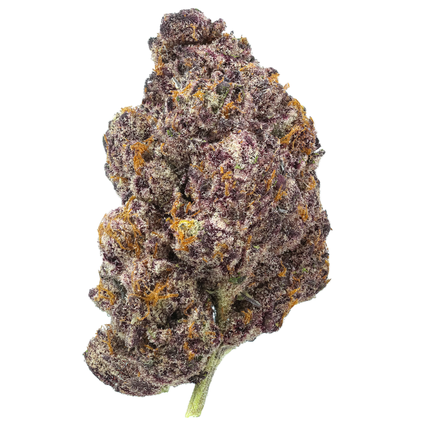 Sundae Freezer 1/4 LB (4oz)