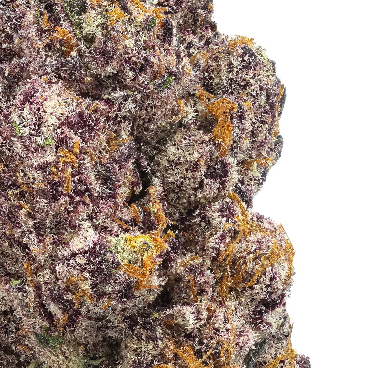 Sundae Freezer 1/4 LB (4oz)