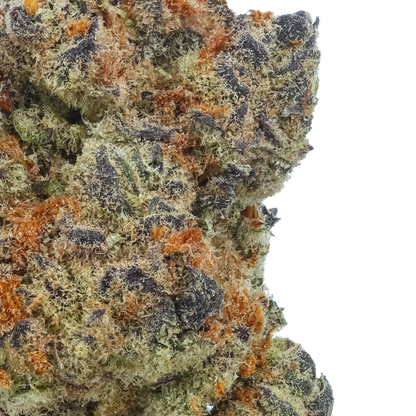Sunset Spice 1 LB (16 oz)