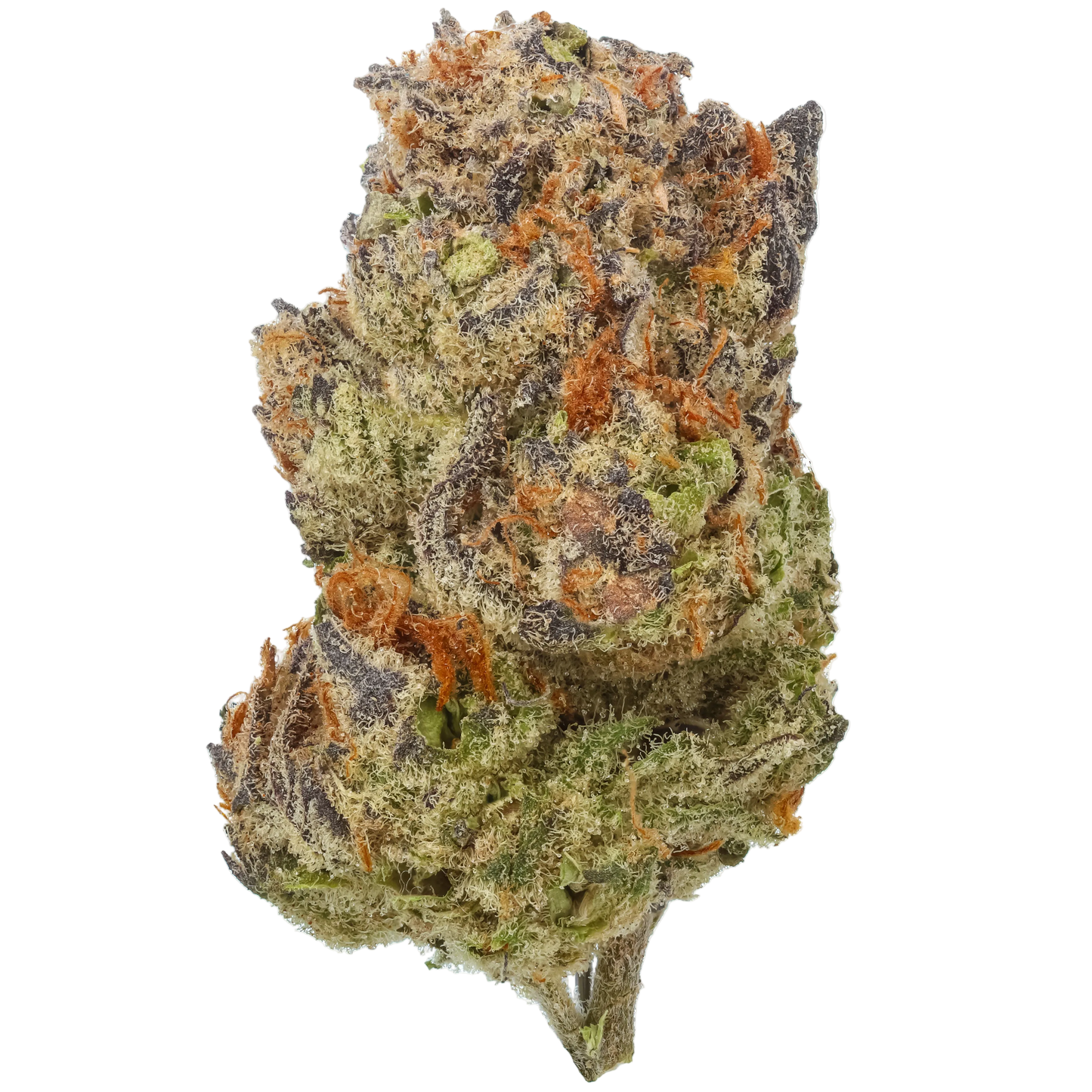 Tropic Thunder Funk 1/4 LB (4 oz)