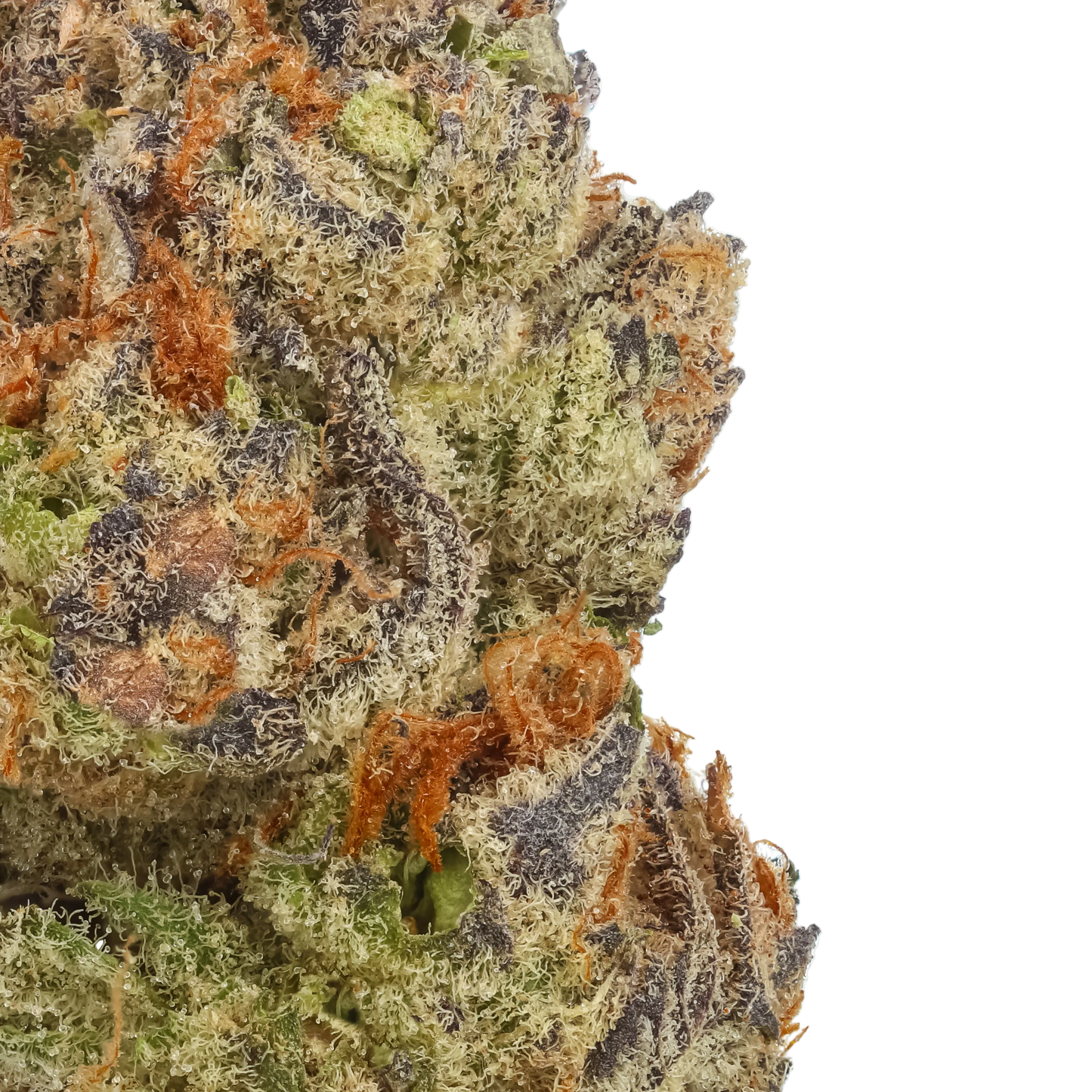 Tropic Thunder Funk 1/4 LB (4 oz)