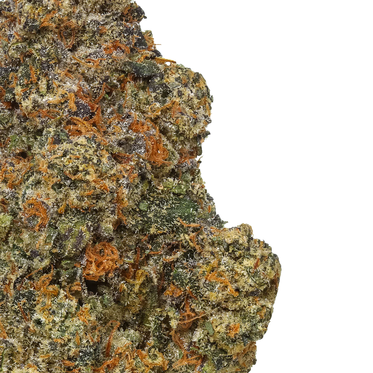 Black Cherry Gelato 1 LB (16 oz)