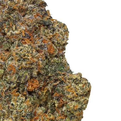 Black Cherry Gelato 1 LB (16 oz)