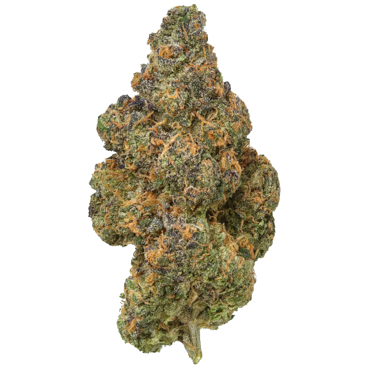 Black Maple 1 LB (16 oz)